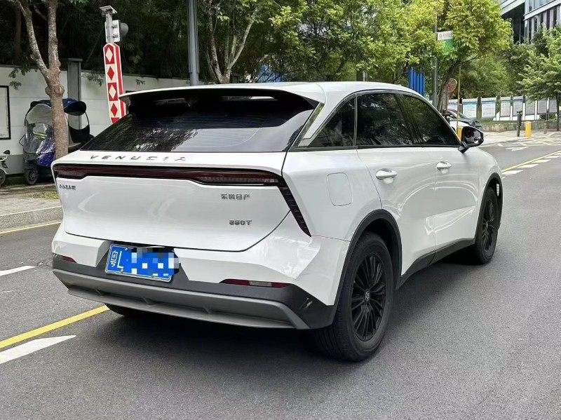 深圳22年启辰大v9